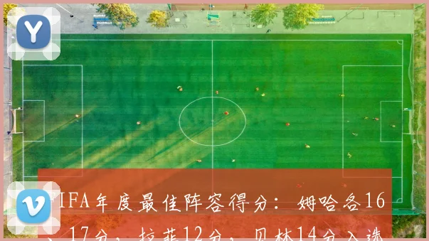 FIFA年度最佳阵容得分：姆哈各16、17分，拉菲12分，贝林14分入选